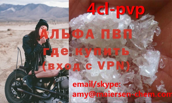 экстази Богданович