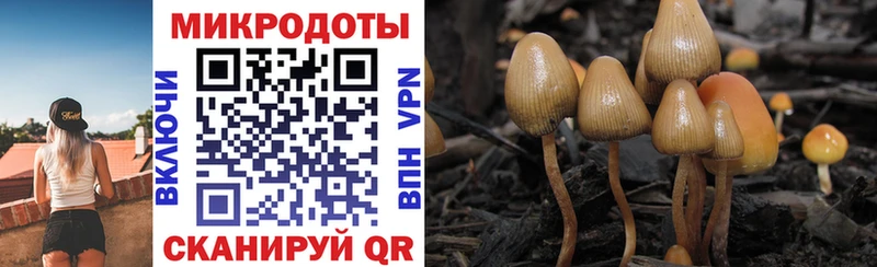 Псилоцибиновые грибы Cubensis  магазин продажи наркотиков  блэк спрут зеркало  Когалым 